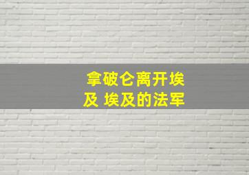 拿破仑离开埃及 埃及的法军